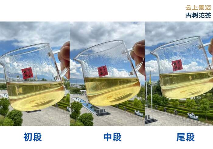 下关沱茶2025云上景迈古树沱茶