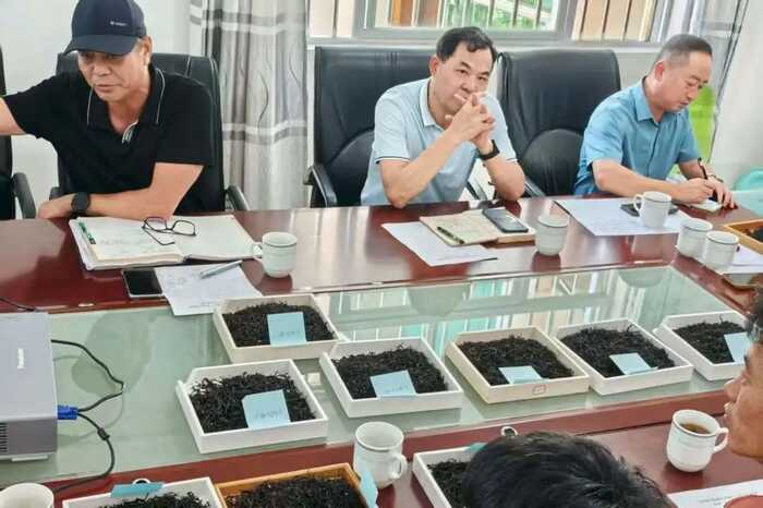 协会标准 “盈江红茶”团体标准启动会圆满召开