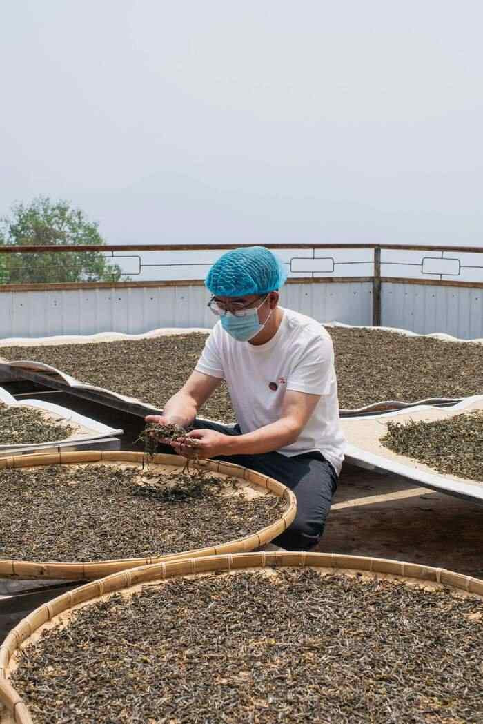 普洱茶行业的未来，应该往哪走？不妨和老同志一起，来一场 极限求索。