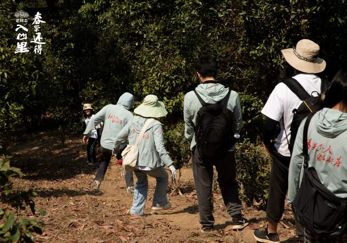 普洱茶行业的未来，应该往哪走？不妨和老同志一起，来一场 极限求索。