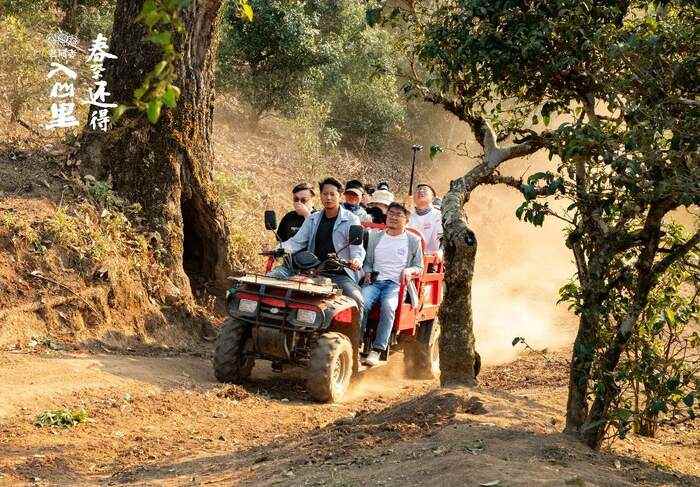 普洱茶行业的未来，应该往哪走？不妨和老同志一起，来一场 极限求索。