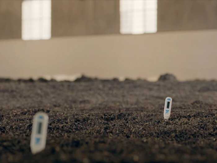 普洱茶行业的未来，应该往哪走？不妨和老同志一起，来一场 极限求索。