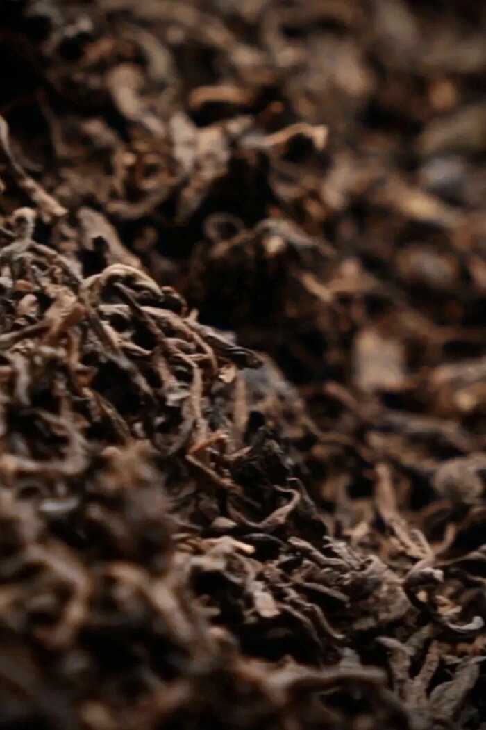 普洱茶行业的未来，应该往哪走？不妨和老同志一起，来一场 极限求索。