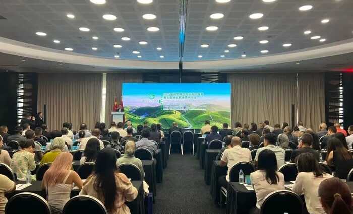 恩施茶跨越1.2万公里，在摩洛哥签下3900万美元大单！