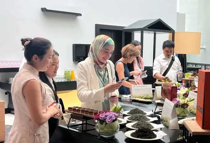 恩施茶跨越1.2万公里，在摩洛哥签下3900万美元大单！