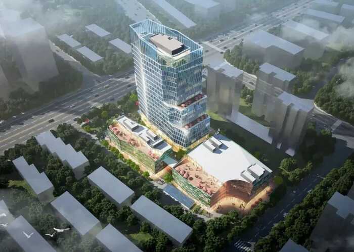 福建以茶为媒，向世界分享中国智慧