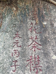 福建以茶为媒，向世界分享中国智慧