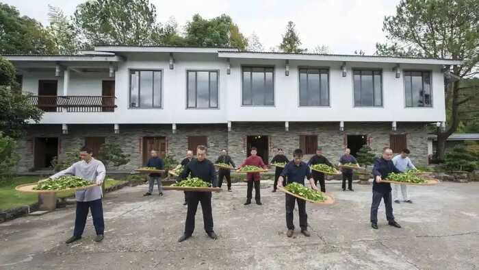 福建以茶为媒，向世界分享中国智慧