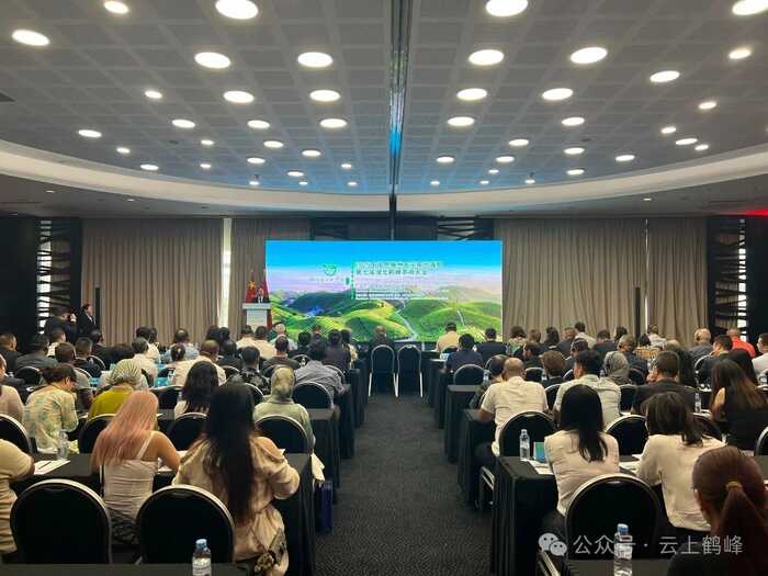 恩施州大宗茶出海暨第七届湖北鹤峰茶商大会在摩洛哥召开