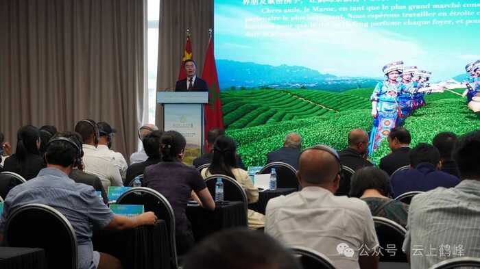 恩施州大宗茶出海暨第七届湖北鹤峰茶商大会在摩洛哥召开