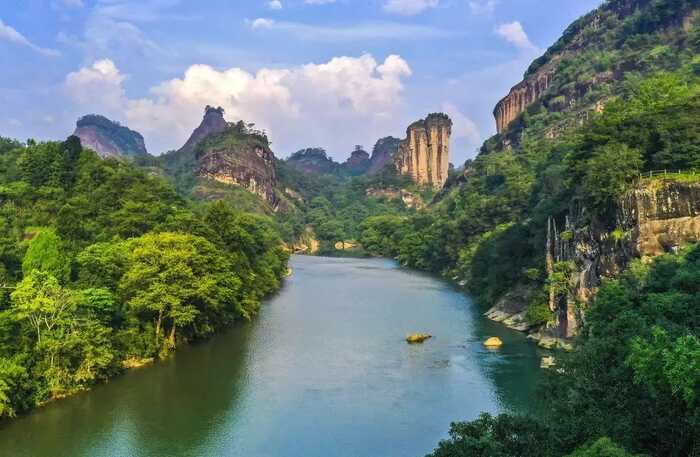 福建以茶为媒，向世界分享中国智慧