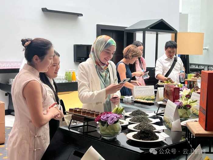 恩施州大宗茶出海暨第七届湖北鹤峰茶商大会在摩洛哥召开