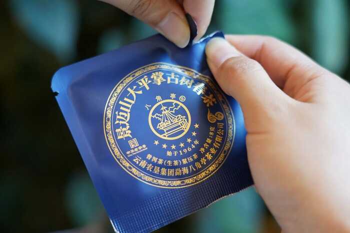 八角亭景迈山大平掌古树春茶 独特韵味，一品难忘