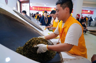 勐海县班章村：古茶山搭上“数字”快车驱动三产融合全链价值跃升