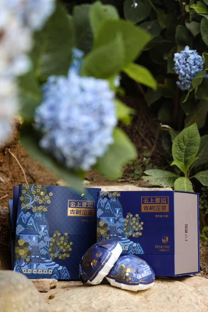 下关云上景迈·古树沱茶 非遗双生 天地共酿