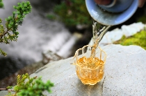 下关云上景迈·古树沱茶 非遗双生 天地共酿