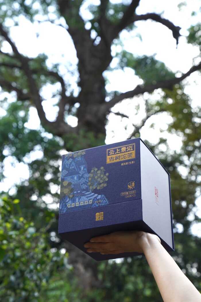 下关云上景迈·古树沱茶 非遗双生 天地共酿