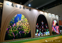 南涧白茶在第5届上海国际茶博会上“甜”蜜出圈