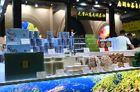 南涧白茶在第5届上海国际茶博会上“甜”蜜出圈