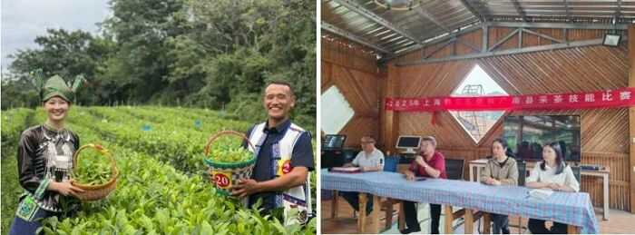 科技助农 赋能广南县茶产业高质量发展