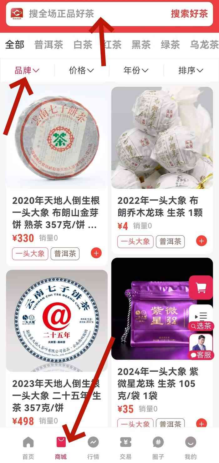龙珠茶 · 掌心的茶时光，一泡即享