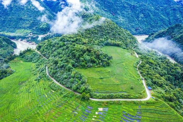 60周年，看西藏的这片“绿叶”如何跨越高原，绽放出金色光芒