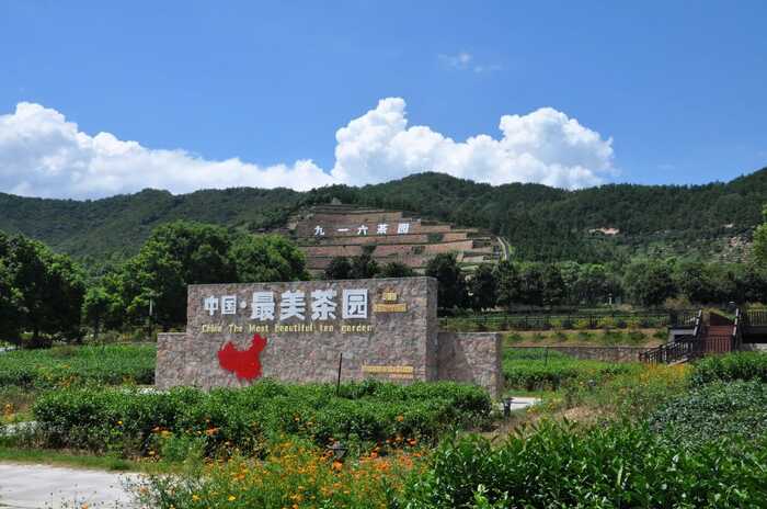 舒城小兰花茶适制品种资源评价模型的 构建与应用