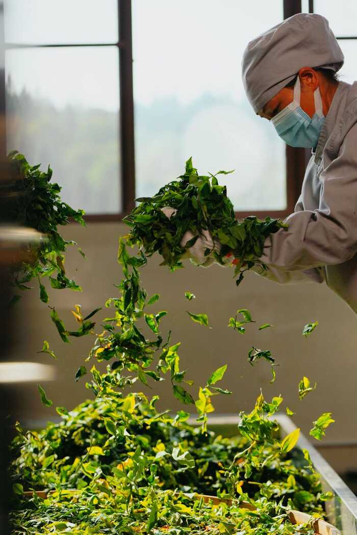 七彩云南1939滇香之源·蜜韵凝香  焦糖甜香，纯品滇红，岁月之礼