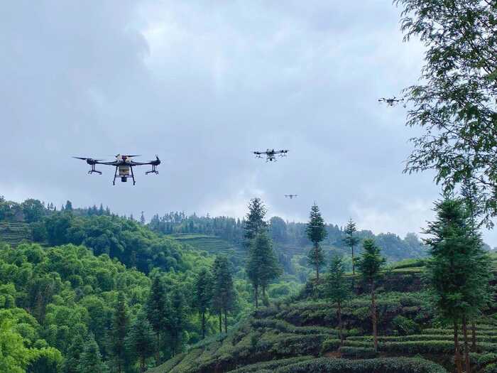 2024年茶园生产机械化研究现状与发展趋势