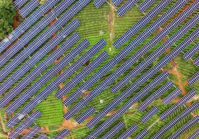 景谷民乐：茶光互补点“绿”成金 交出亮眼“绿色答卷”