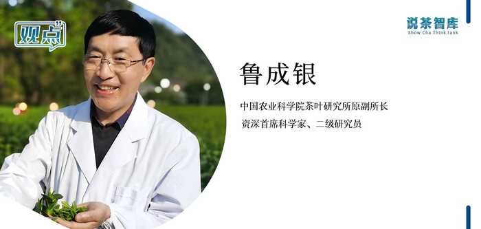 提出20周年！“两山”理念如何助力茶业发展？