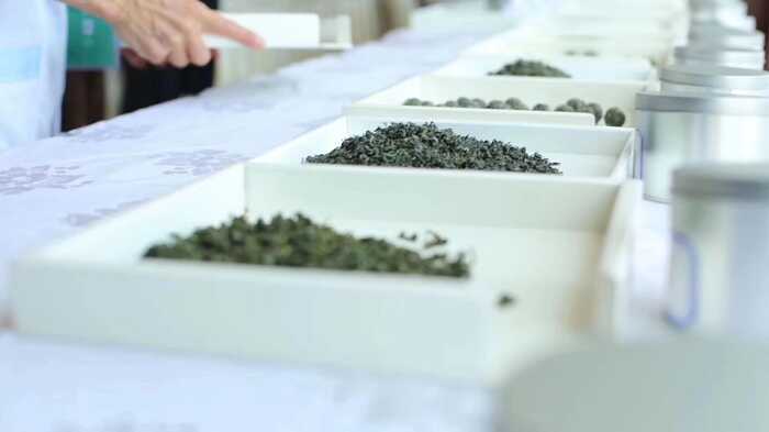  绿茶贮藏过程香气成分研究进展