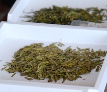  绿茶贮藏过程香气成分研究进展