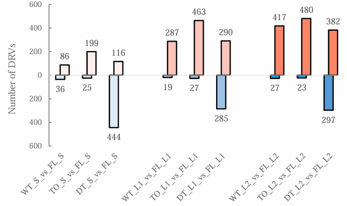 乌龙茶为什么要带茶梗？科学揭示茶梗里的香气密码