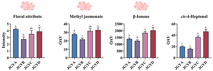甜香还是花香？叶片等级塑造红茶风味
