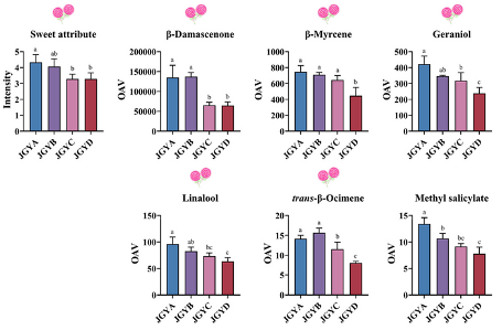 甜香还是花香？叶片等级塑造红茶风味