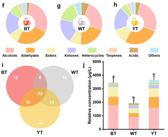 茶香如何影响大脑对甜味的感知