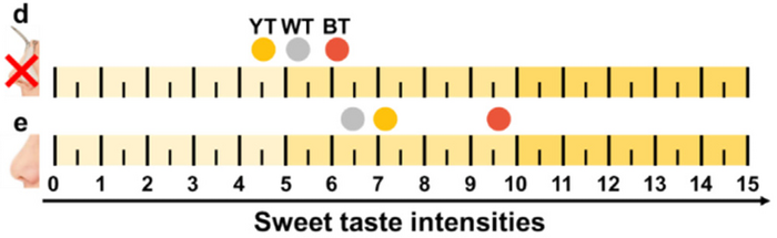 茶香如何影响大脑对甜味的感知