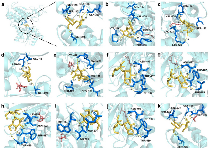 茶香如何影响大脑对甜味的感知