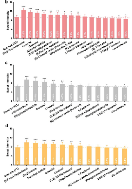 茶香如何影响大脑对甜味的感知