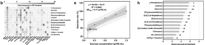 茶香如何影响大脑对甜味的感知