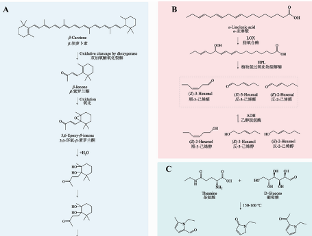 茶叶香气研究进展③：茶叶中香气的变化和形成机理