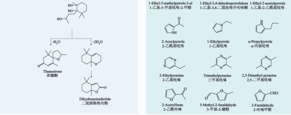 茶叶香气研究进展③：茶叶中香气的变化和形成机理