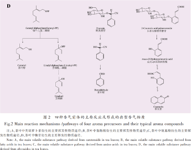 茶叶香气研究进展③：茶叶中香气的变化和形成机理
