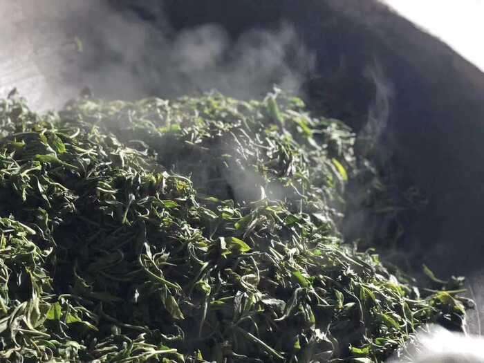 茶叶香气研究进展③：茶叶中香气的变化和形成机理