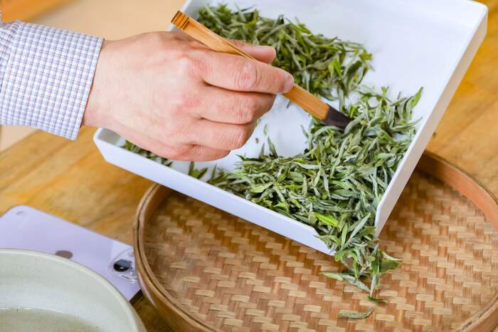 茶叶香气研究进展①：六大茶类中关键香气物质