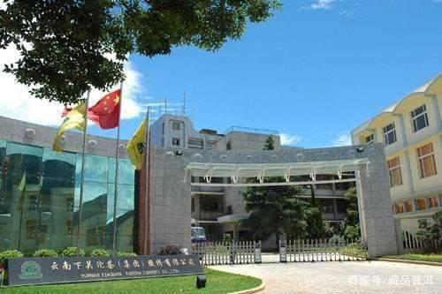 下关沱茶百年风云与1993甲级沱茶品鉴全解析