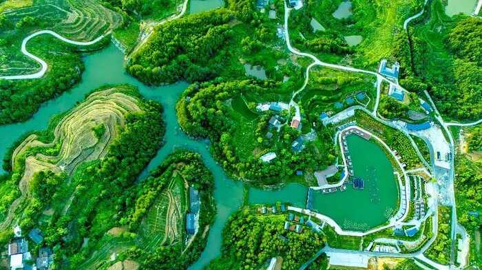 茶韵飘香，山水共赏​