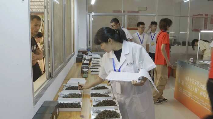 第二届“江山美人杯”两岸美人茶民间斗茶赛结果出炉