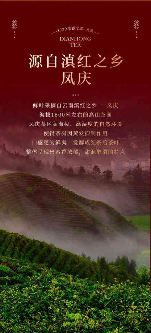 七彩云南®新品上市  便携口粮滇红茶，时刻蜜甜滋养